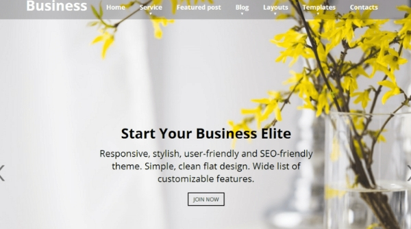 Business Elite WordPress Landing Page Themes
