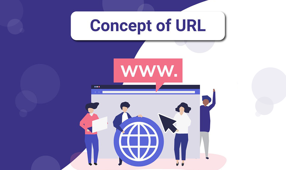 What is the URL? Step to find WordPress login URL?