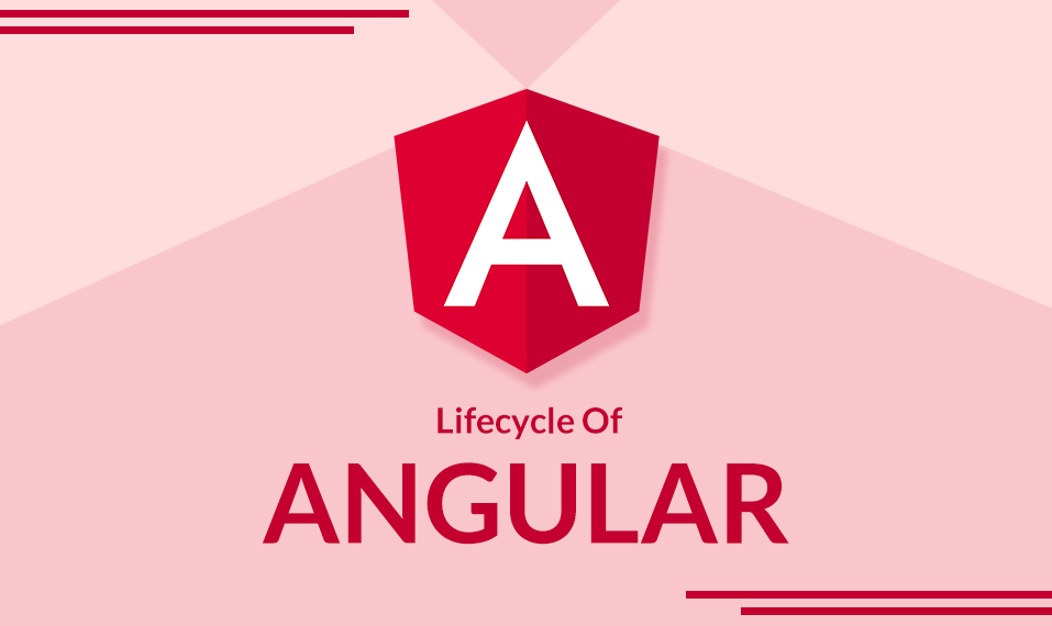 Explain the Lifecycle Of Angular